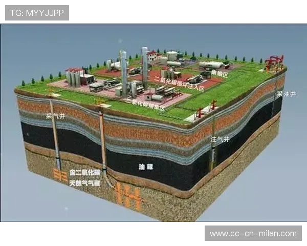 法兰克福战略大革新：战术板上注入快速反击新思路